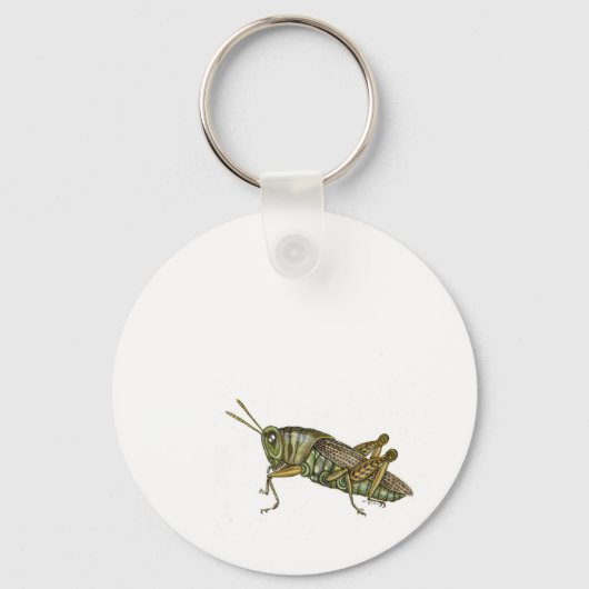 Porte-clés Grasshopper vert (Verso)