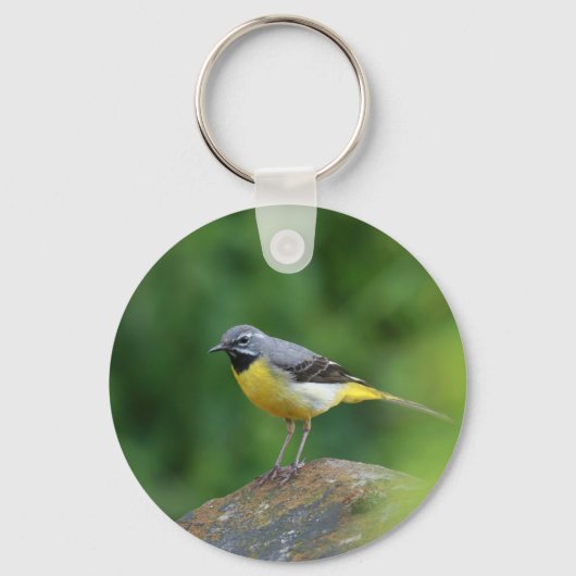 Porte-clés Gray Wagtail - oiseau (Recto)