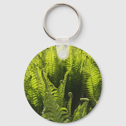 Porte-clés “Green ferns and curling fronds” (Recto)
