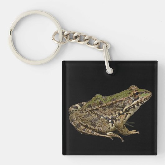 Porte-clés Grenouille (Devant)