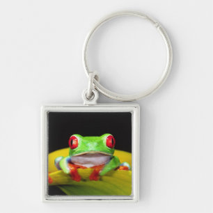 Porte-clés Grenouille arboricole à yeux rouges, Agalychinis c