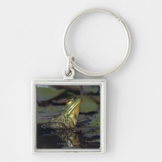 Porte-clés Grenouille dans un étang (Devant)