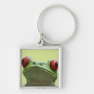 Porte-clés Grenouille d'arbre aux yeux rouges (callidryas