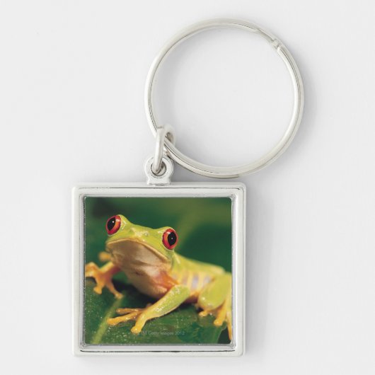 Porte-clés Grenouille d'arbre rouge d'oeil (Devant)