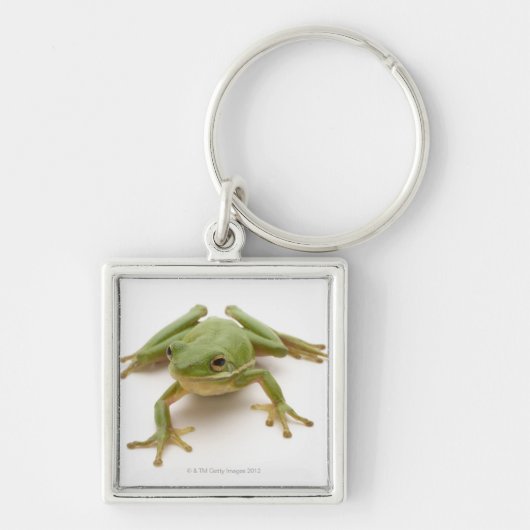 Porte-clés Grenouille d'arbre verte (Devant)
