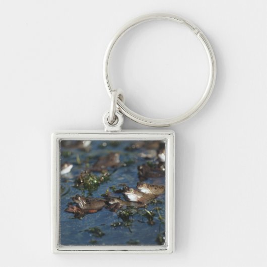 Porte-clés Grenouille drôle (Devant)