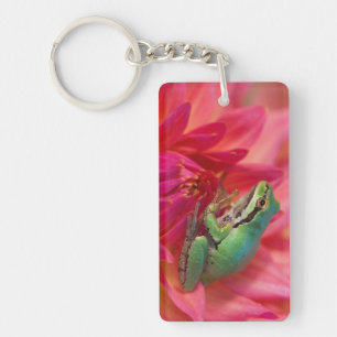 Porte-clés Grenouille du Pacifique sur des fleurs dans notre