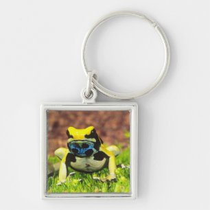 Porte-clés Grenouille empoisonnée, Dendrobates tinctorius,