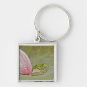 Porte-clés Grenouille et pétale de fleur de lotus, Chine,