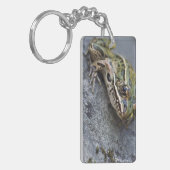 Porte-clés Grenouille léopard du nord, Île transparente, (Devant gauche)