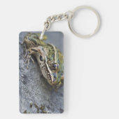 Porte-clés Grenouille léopard du nord, Île transparente, (Dos)
