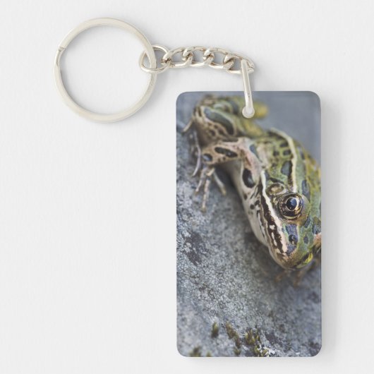 Porte-clés Grenouille léopard du nord, Île transparente, (Devant)