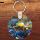 Porte-clés Grenouille naine africaine (Recto)