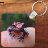 Porte-clés Grenouille rouge (Verso)