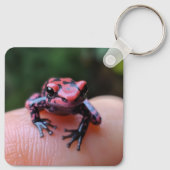 Porte-clés Grenouille rouge (Dos)