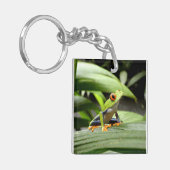 Porte-clés Grenouille verte (Devant gauche)