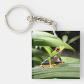 Porte-clés Grenouille verte (Devant)