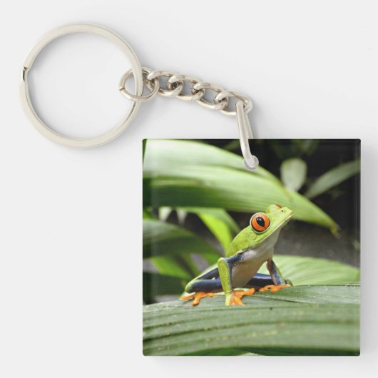 Porte-clés Grenouille verte (Devant)