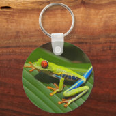 Porte-clés Grenouille verte (Recto)
