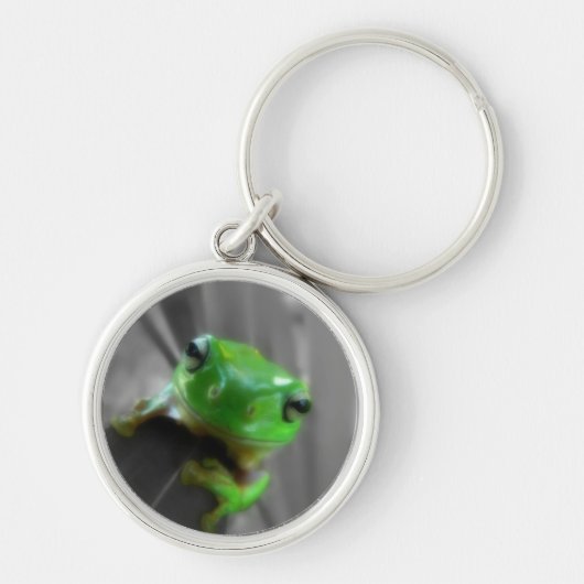 Porte-clés Grenouille verte brillante (Devant)
