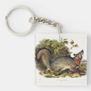 Porte-clés Grey Fox / Grey Fox Audubon's American Quadrupeds