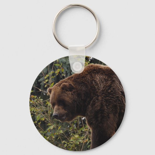 Porte-clés grizzli-ours-009 (Recto)