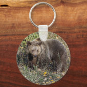 Porte-clés Grizzly Bear (Recto)
