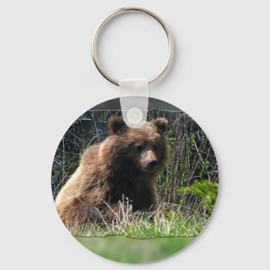 Porte-clés Grizzly Bear Cub (Recto)