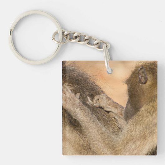 Porte-clés Grooming baboons (Devant)