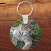 Porte-clés Gros chats - 11 (Recto)