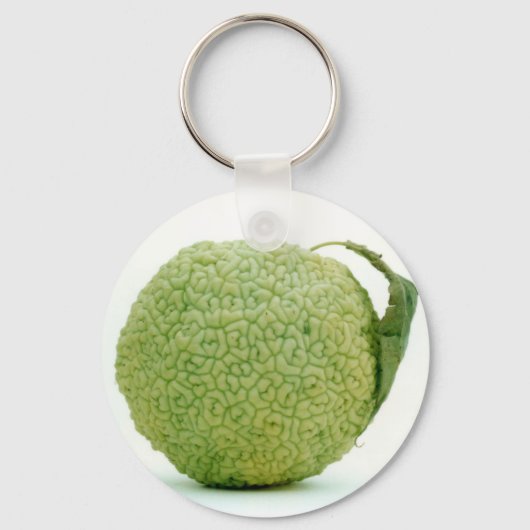 Porte-clés Gros héraut vert (Recto)