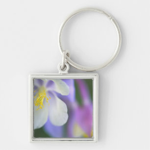 Porte-clés Gros plan de la fleur de l'Ancolie du Colorado.