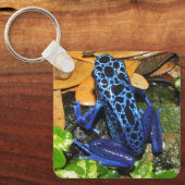 Porte-clés Gros plan d'une grenouille à carreaux bleu (Recto)