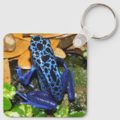 Porte-clés Gros plan d'une grenouille à carreaux bleu (Dos)