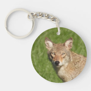 Porte-clés Gros plan sur le coyote