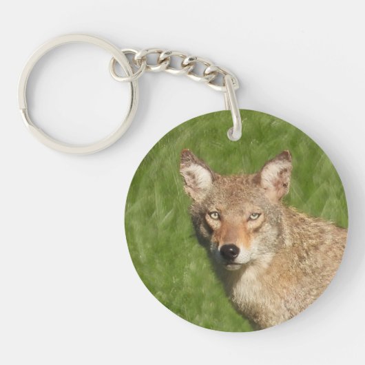 Porte-clés Gros plan sur le coyote (Devant)