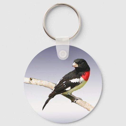 Porte-clés Grosbeak à poitrine rose (Recto)