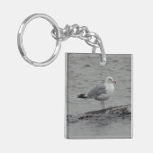 Porte-clés Grosse mouette (Devant gauche)