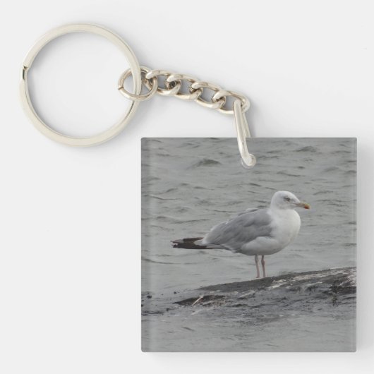 Porte-clés Grosse mouette (Devant)