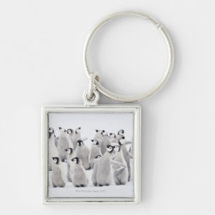 Porte-clés Groupe de pingouins d'empereur (forsteri