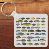 Porte-clés Groupe de poissons Cichlid (Recto)