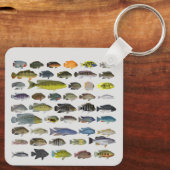 Porte-clés Groupe de poissons Cichlid (Verso)