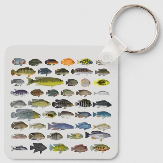 Porte-clés Groupe de poissons Cichlid (Dos)