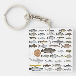 Porte-clés Groupe de poissons d'eau douce Australie