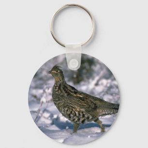 Porte-clés Grouse de Ruffed se tenant en bois neigeux