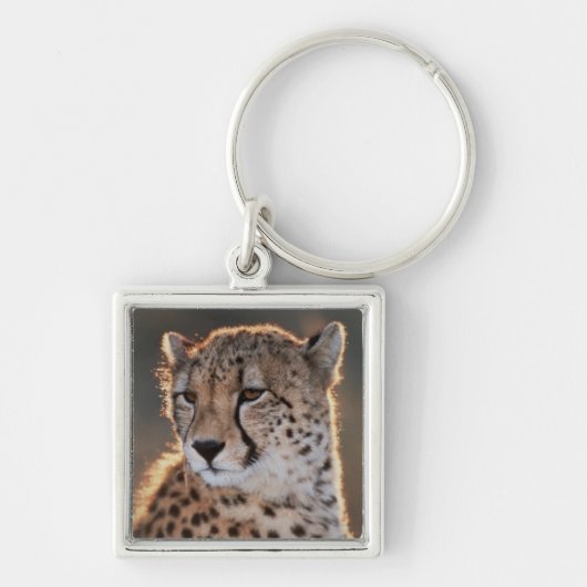 Porte-clés Guépard regardant ailleurs (Devant)