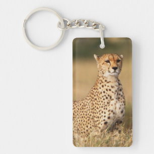 Porte-clés Guépard sur un petit monticule pour une meilleure