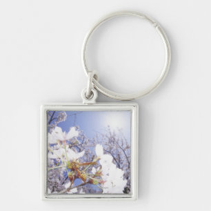 Porte-clés Guêpe sur des fleurs de cerisier, fin
