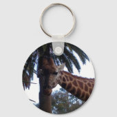 Porte-clés Guichet en girafe, Clavier (Recto)