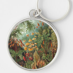Porte-clés Haeckel